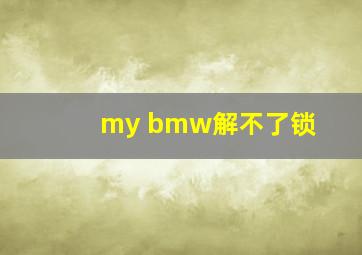 my bmw解不了锁